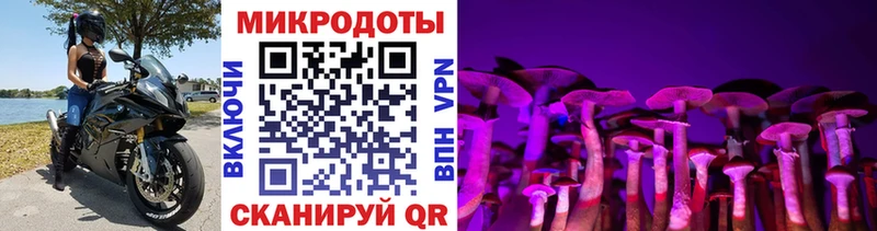 mega вход  Санкт-Петербург  Псилоцибиновые грибы прущие грибы 
