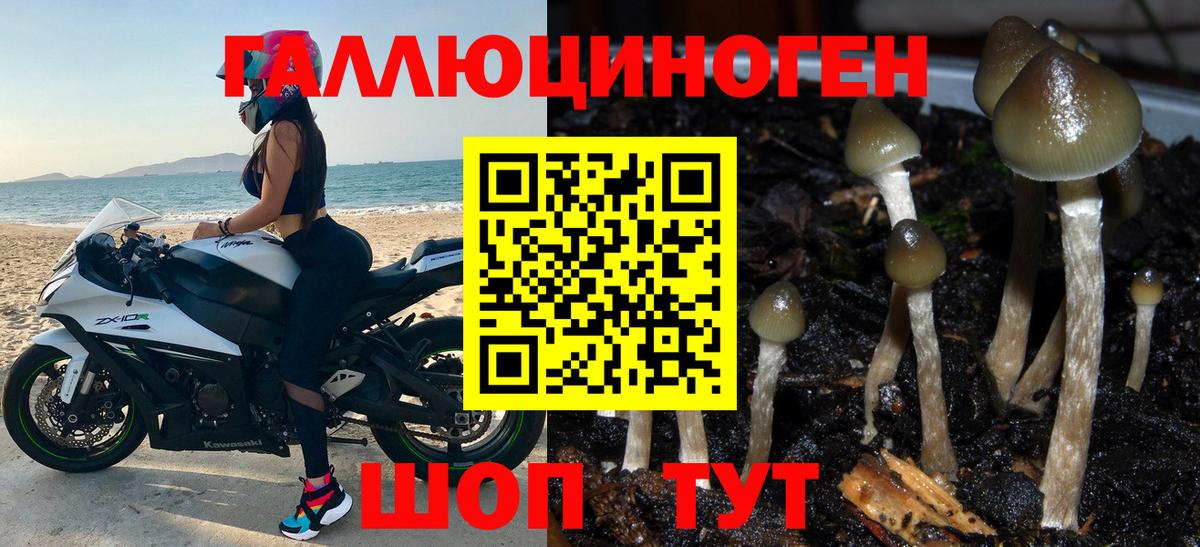 Галлюциногенные грибы Magic Shrooms Санкт-Петербург