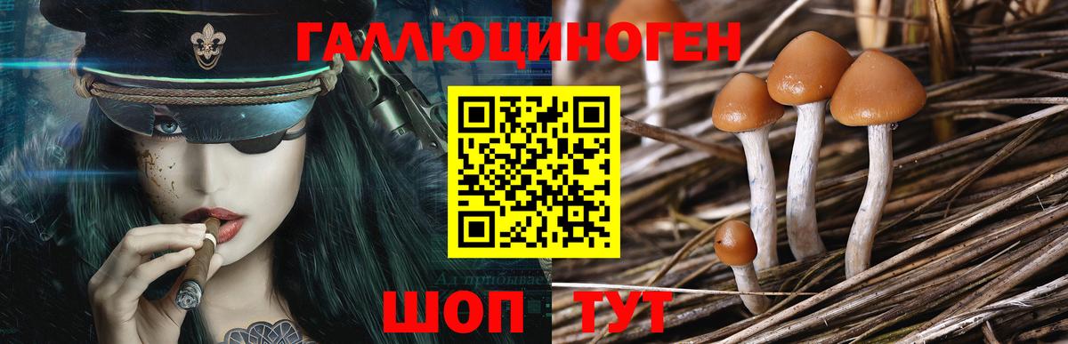 Псилоцибиновые грибы GOLDEN TEACHER  Санкт-Петербург 