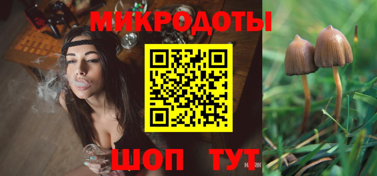 Санкт-Петербург  Галлюциногенные грибы MAGIC MUSHROOMS  Псилоцибиновые грибы Psilocybine cubensis  Вход с VPN 